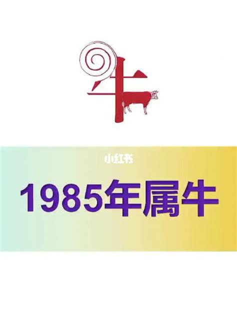 1985是什么牛